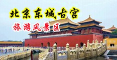 五毛五A动漫白丝渔网白虎中国北京-东城古宫旅游风景区